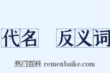 代名詞反义词是什么意思的图片